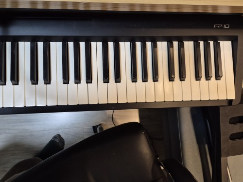 ROLAND F10